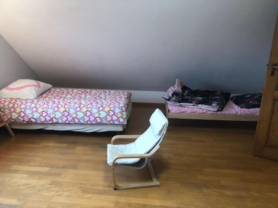Maison De Village Pres De Colmar De 90 M2 Horbourg Zewnętrze zdjęcie