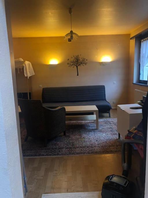 Maison De Village Pres De Colmar De 90 M2 Horbourg Zewnętrze zdjęcie